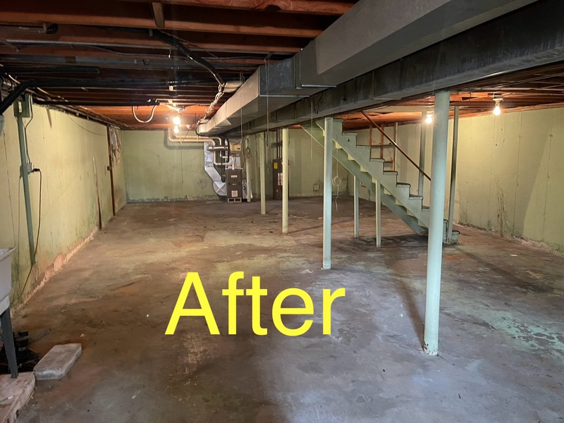 Basement Clean Out - Discarded Junk Removal