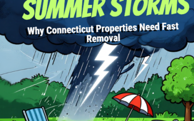 Summer Storms = Summer Junk: Why Connecticut Properties Need Fast Removal